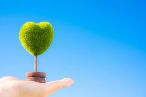 方位の吉凶は球体模様