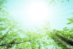 スピリチュアルイグジスタンス